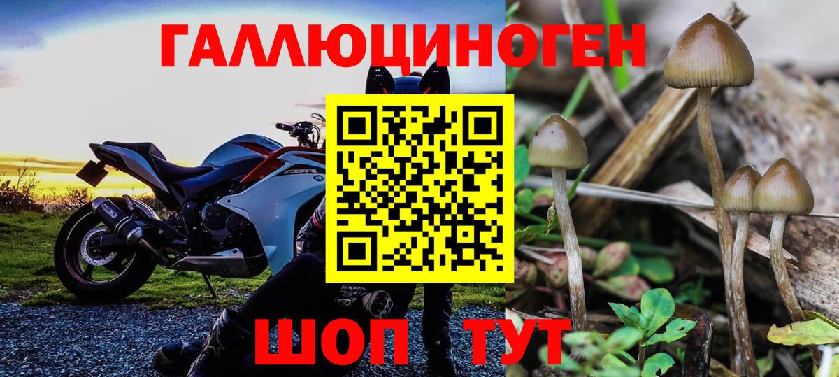 Псилоцибиновые грибы Cubensis Мытищи