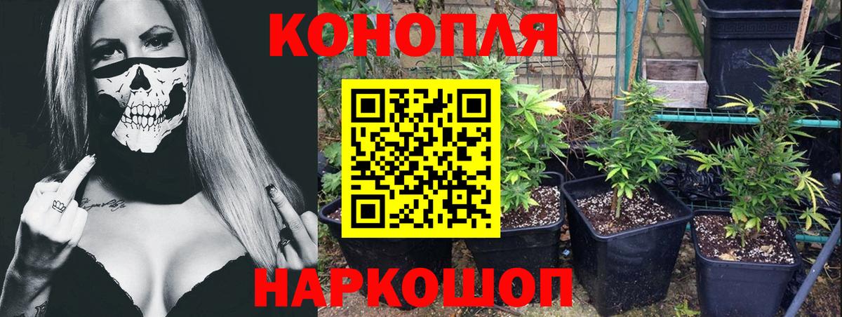 Бошки марихуана Ganja Мытищи